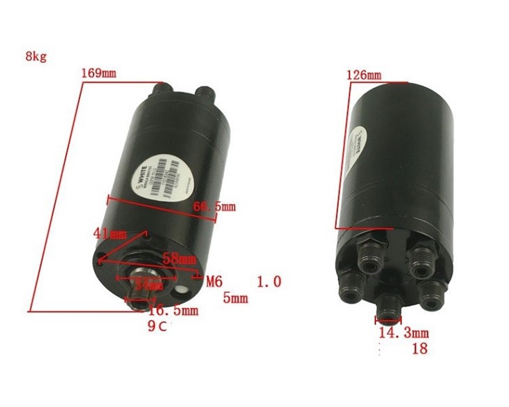 Genuine Parts 1655650 Steering Pump For Hyster, E65XN-40, Made in Poland best